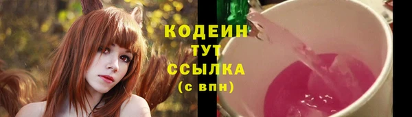 амф Лабытнанги
