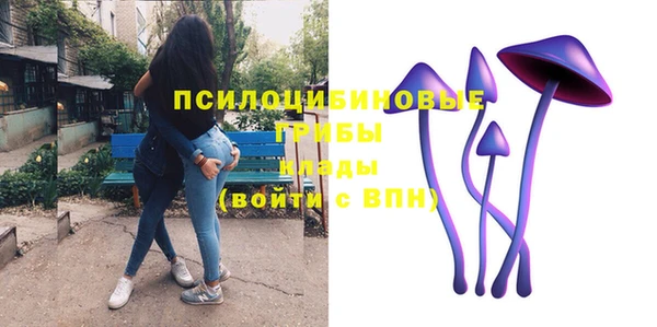 ешки Ладушкин