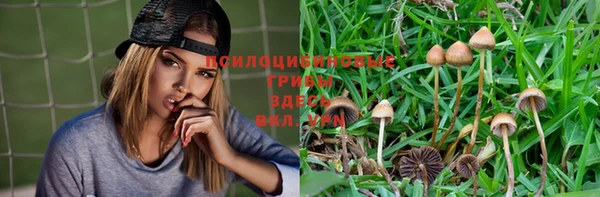 амф Лабытнанги